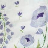 Blue Windflower Print