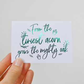 From the tiniest acorn...